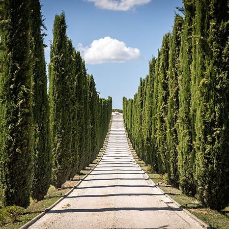 Torre del Colle Fattoria Colsantoヴィラ エクステリア 写真