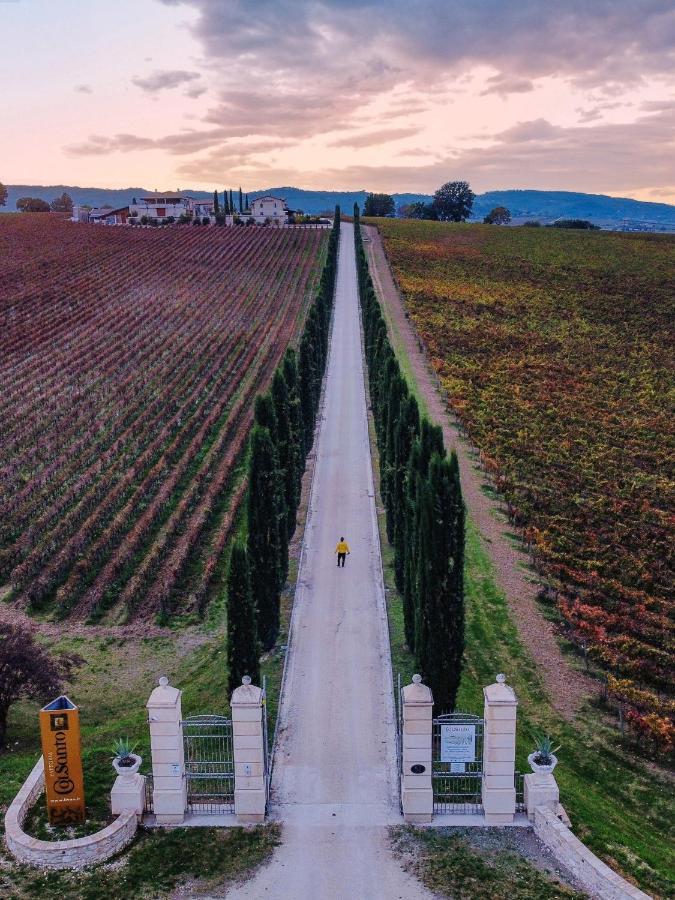 Torre del Colle Fattoria Colsantoヴィラ エクステリア 写真