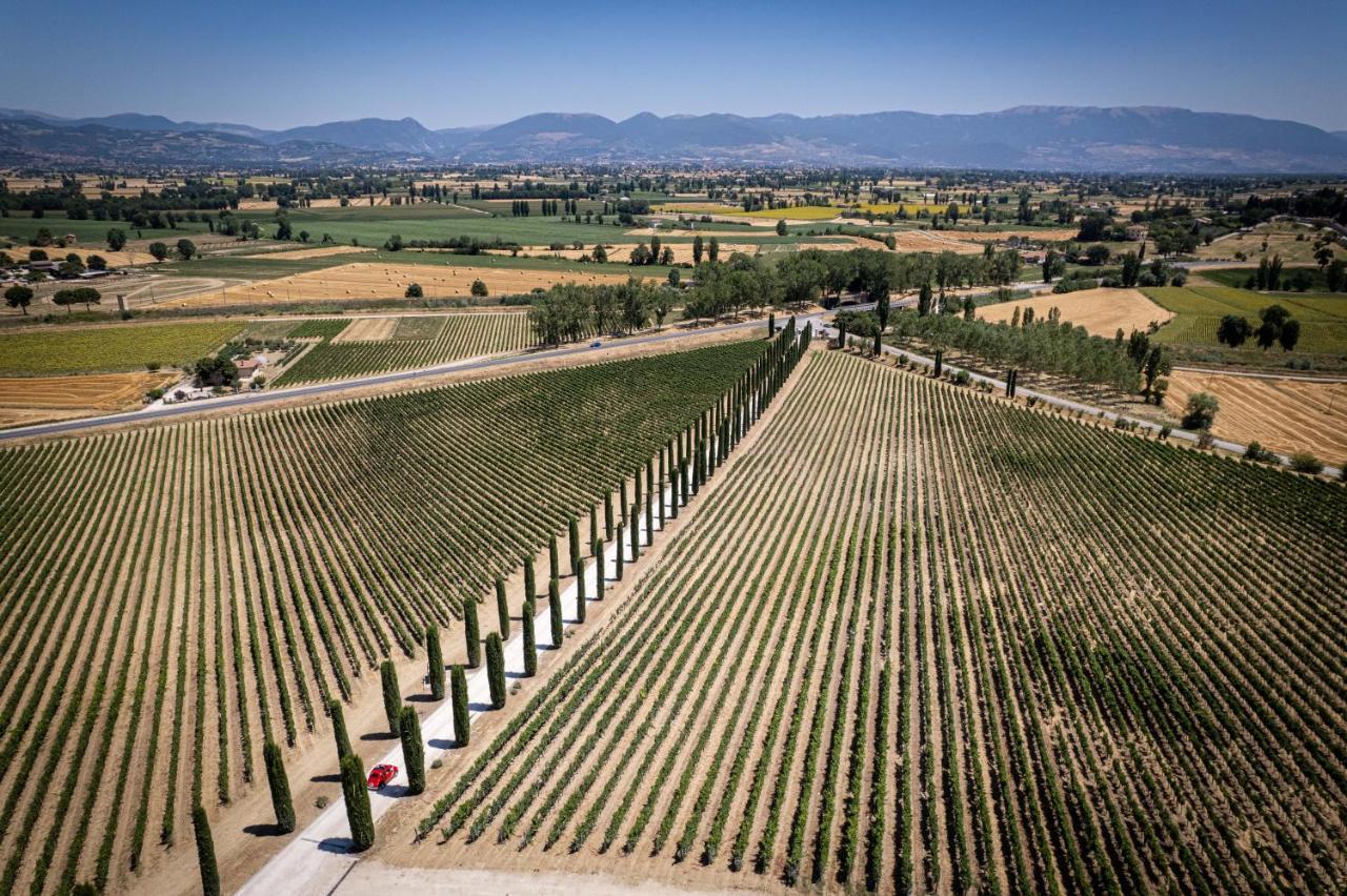 Torre del Colle Fattoria Colsantoヴィラ エクステリア 写真