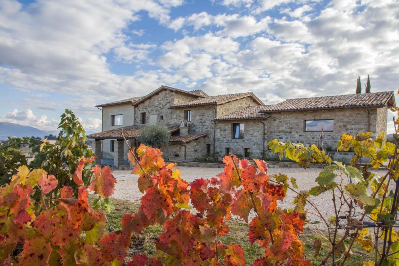 Torre del Colle Fattoria Colsantoヴィラ エクステリア 写真